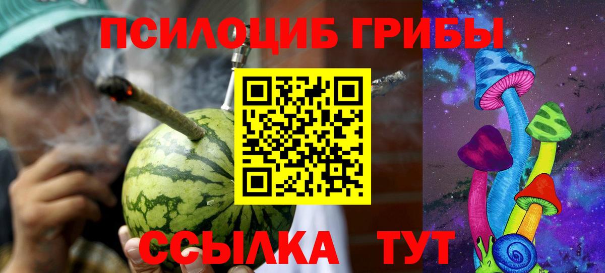 Галлюциногенные грибы MAGIC MUSHROOMS Знаменск