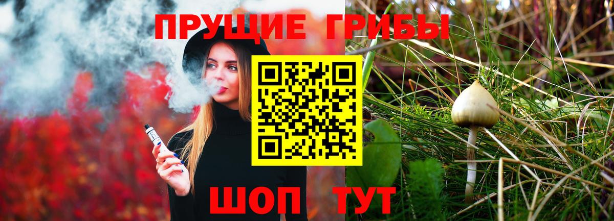 Знаменск  даркнет сайт  Вход с VPN  Псилоцибиновые грибы MAGIC MUSHROOMS 
