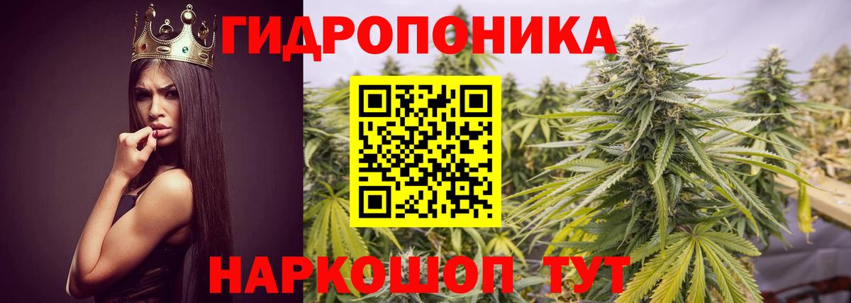 Канабис LSD WEED  Вход с VPN  Шишки марихуана Amnesia  Знаменск  Каннабис White Widow 